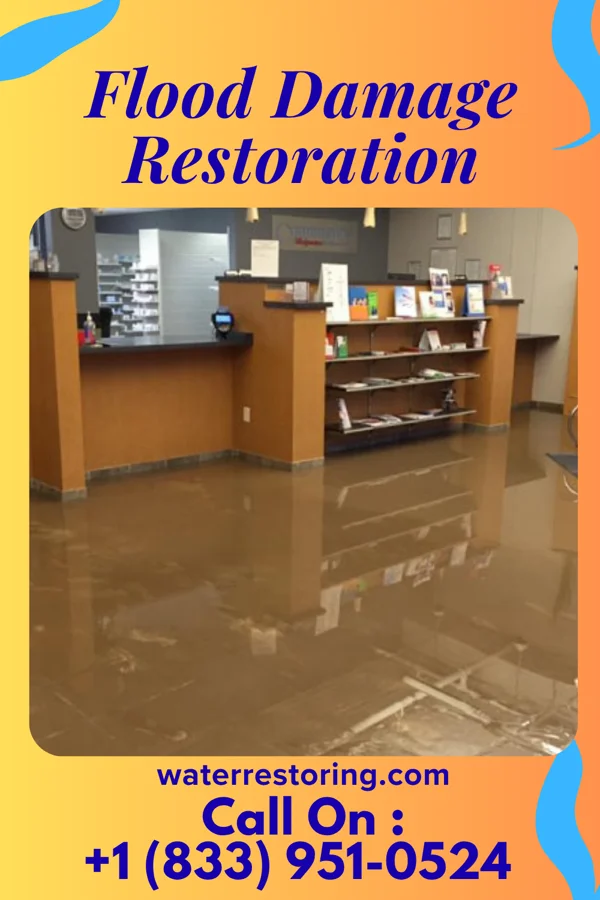 Flood Damage Restoration in Post Lake, WI
